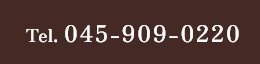tel:045-909-0220